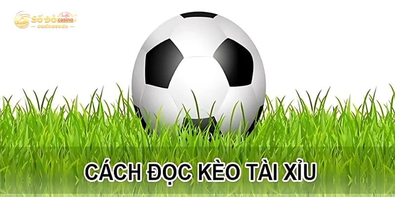 Chi tiết về luật chơi dễ hiểu tại nhà cái