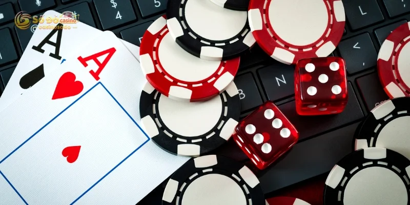 Quy trình chơi bài Catte đơn giản nhất tại nhà cái SODO CASINO