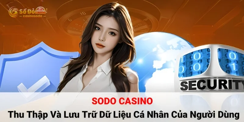 SODO thu thập và lưu trữ dữ liệu cá nhân người dùng